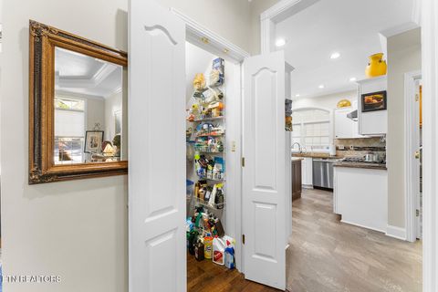 Tiny photo for 105 Gogeyi Tr, Vonore, TN 37885 (MLS # 1302265)