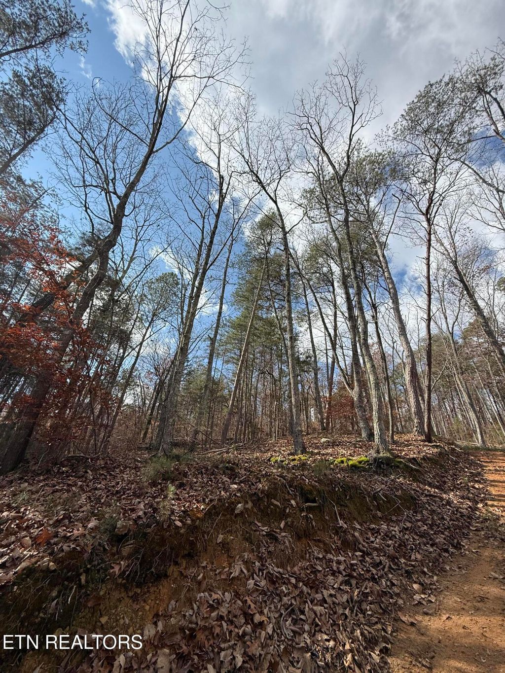 Photo of 1 Parksville Road, Benton, TN 37307 (MLS # 1322745)