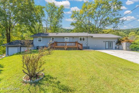 209 Strawberry Lane Caryville TN 37714