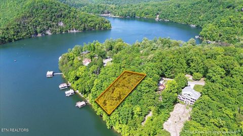 N Shorewood Ln, Lot 20 Caryville TN 37714