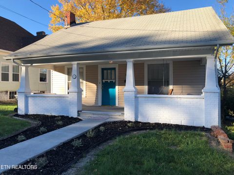 Photo of 1301 Windsor Ave, Bristol, TN 37620 (MLS # 1333126)
