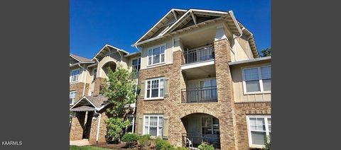 1122 Tree Top Way APT 1223 Knoxville TN 37920