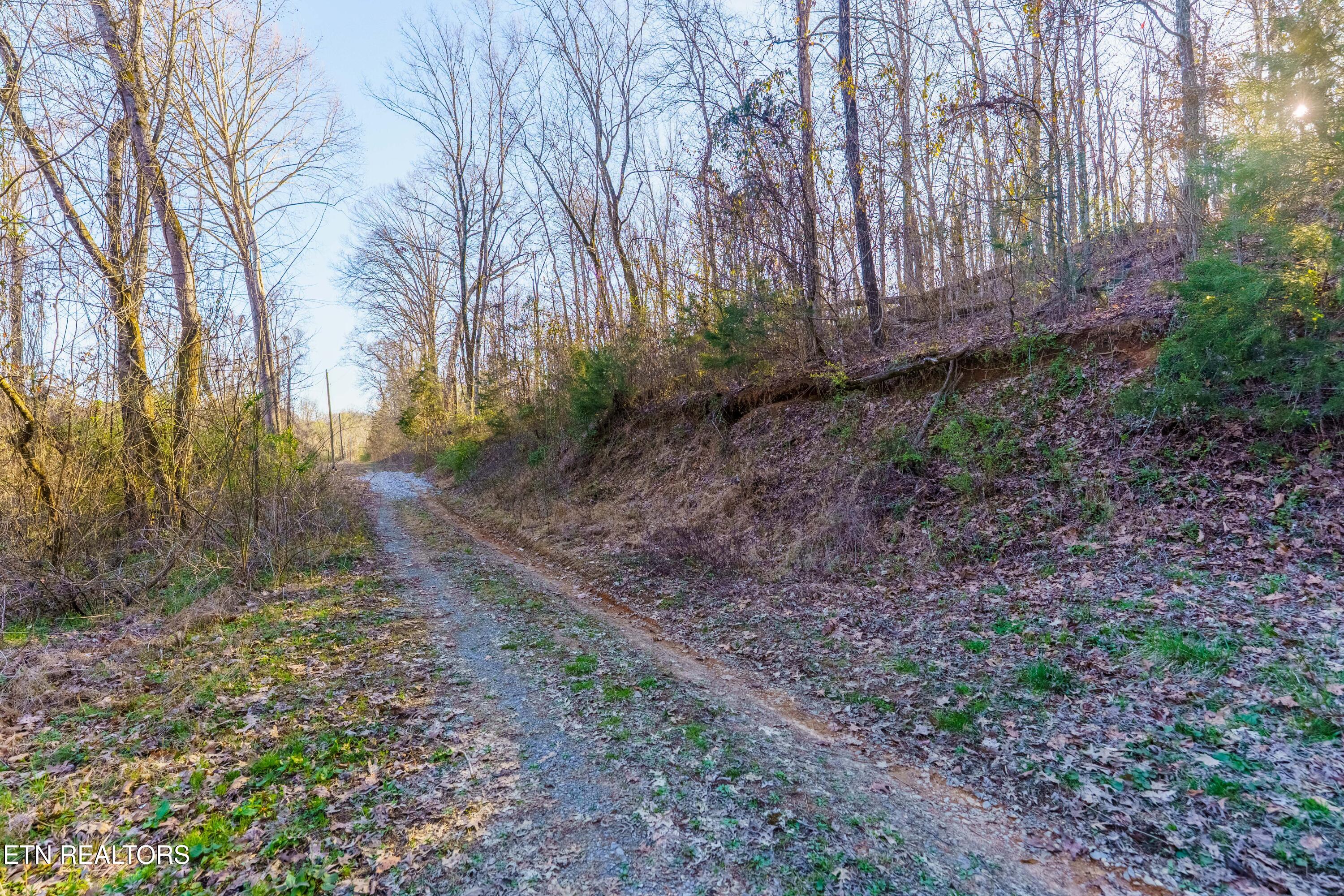 Douglas Dam Rd