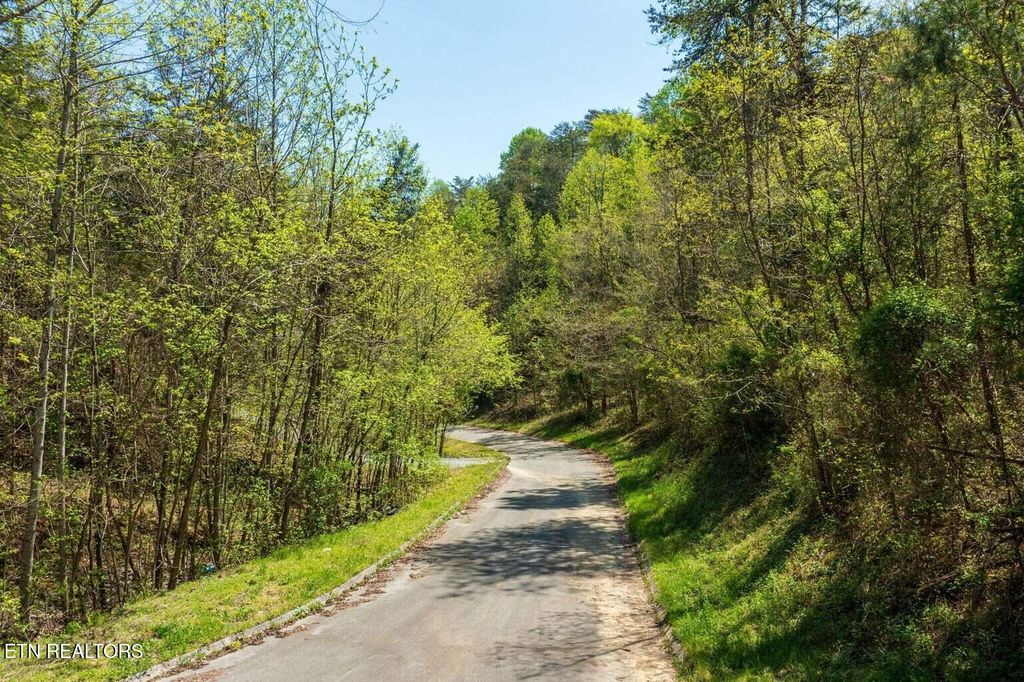 Photo of Pheasant Court, Dandridge, TN 37725 (MLS # 1295841)