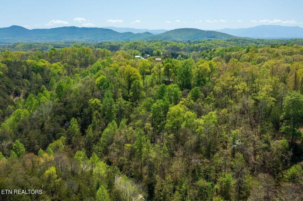 Photo of Pheasant Court, Dandridge, TN 37725 (MLS # 1295841)