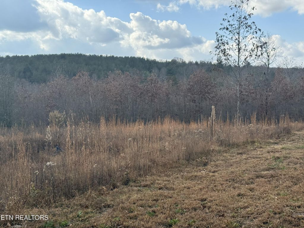 Photo of 6.25 Acres Valerie Drive, Deer Lodge, TN 37726 (MLS # 1319064)