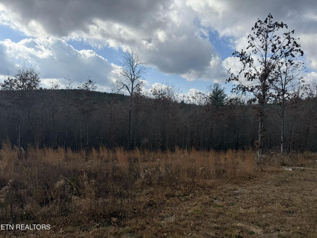 Photo of 6.25 Acres Valerie Drive, Deer Lodge, TN 37726 (MLS # 1319064)