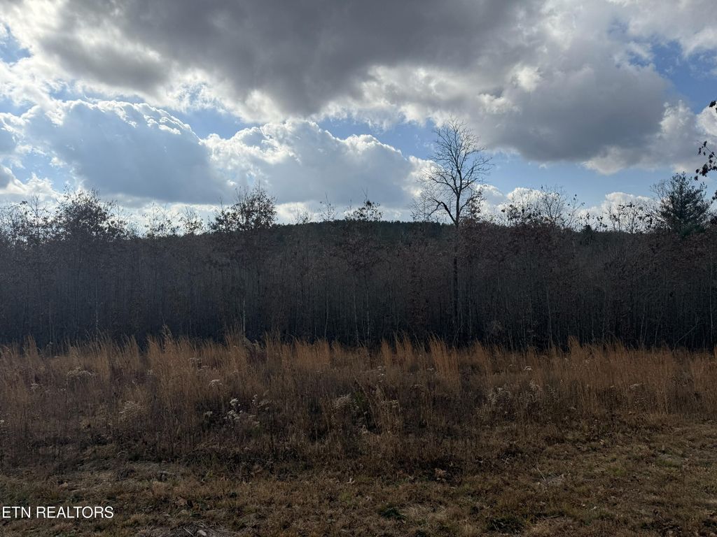 Photo of 6.25 Acres Valerie Drive, Deer Lodge, TN 37726 (MLS # 1319064)