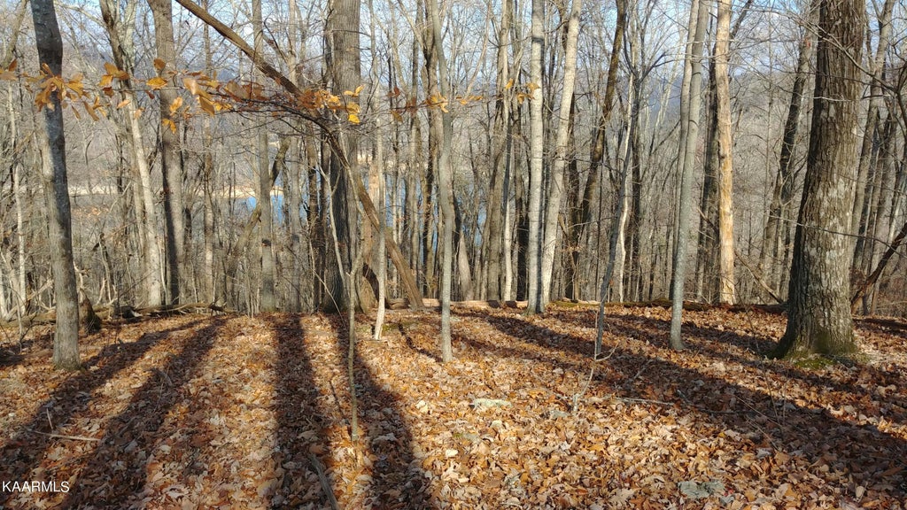Photo of N Shorewood Drive, Caryville, TN 37714 (MLS # 1237376)