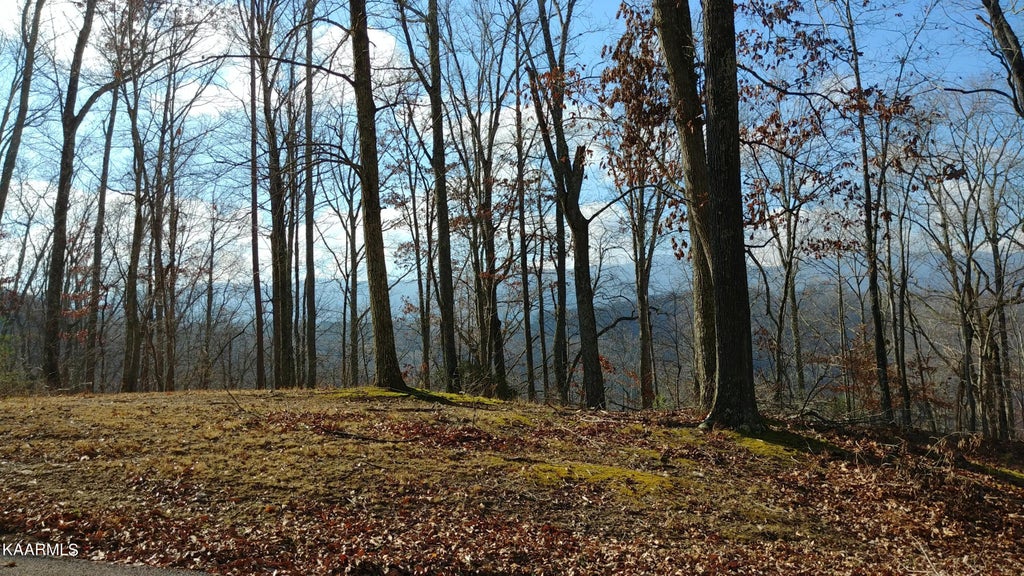 Photo of N Shorewood Drive, Caryville, TN 37714 (MLS # 1237376)