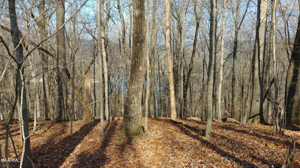 Photo of N Shorewood Drive, Caryville, TN 37714 (MLS # 1237376)