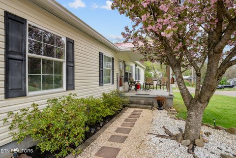 Tiny photo for 4802 Julian St, Knoxville, TN 37920 (MLS # 1334783)