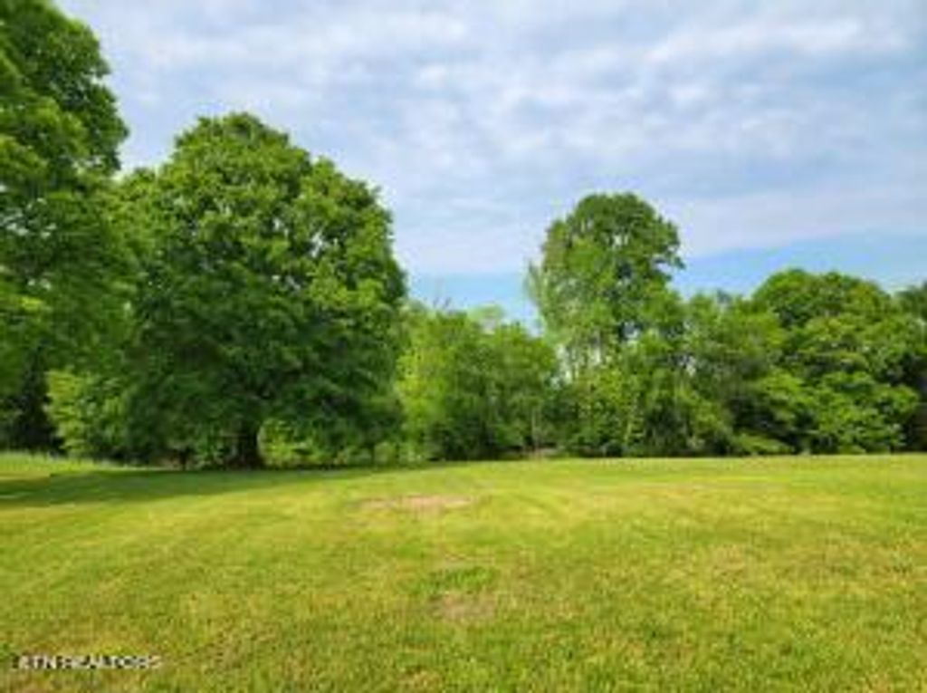 Photo of 00 Scoggins Lane, Dayton, TN 37321 (MLS # 1261257)