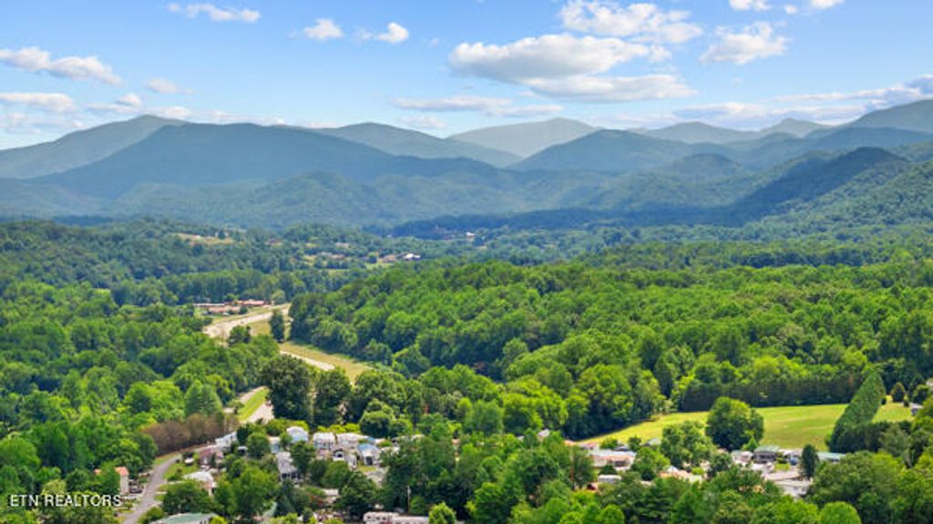 Photo of 592 Flamingo Circle, Townsend, TN 37882 (MLS # 1269169)