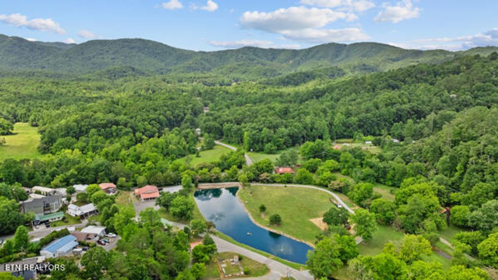 Photo of 592 Flamingo Circle, Townsend, TN 37882 (MLS # 1269169)