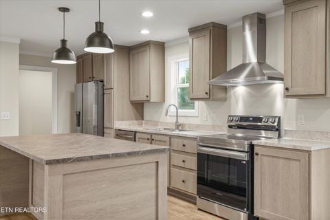 Tiny photo for 311 County Road 334, Niota, TN 37826 (MLS # 1324843)