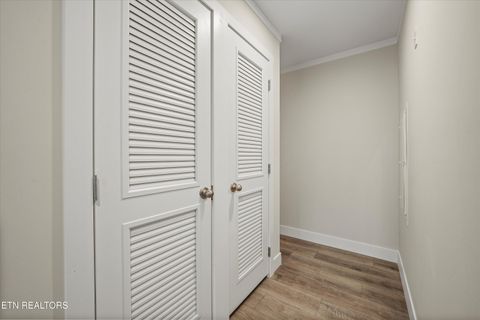 Tiny photo for 311 County Road 334, Niota, TN 37826 (MLS # 1324843)