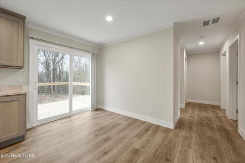 Tiny photo for 311 County Road 334, Niota, TN 37826 (MLS # 1324843)