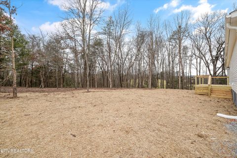 Tiny photo for 311 County Road 334, Niota, TN 37826 (MLS # 1324843)
