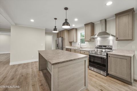 Tiny photo for 311 County Road 334, Niota, TN 37826 (MLS # 1324843)