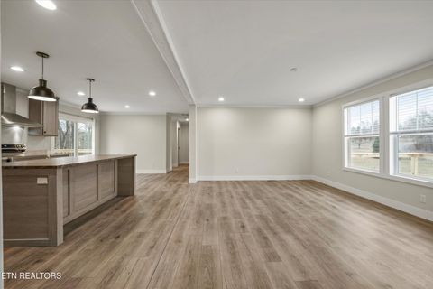 Tiny photo for 311 County Road 334, Niota, TN 37826 (MLS # 1324843)