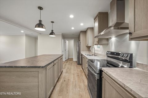 Tiny photo for 311 County Road 334, Niota, TN 37826 (MLS # 1324843)