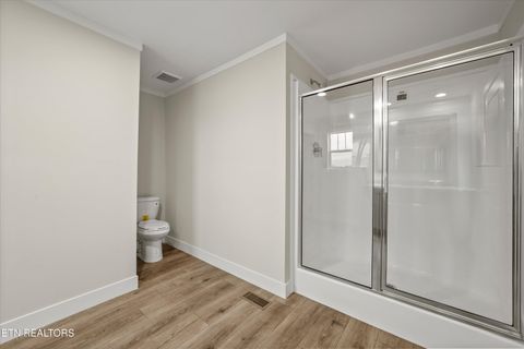 Tiny photo for 311 County Road 334, Niota, TN 37826 (MLS # 1324843)