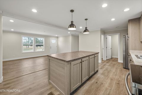 Tiny photo for 311 County Road 334, Niota, TN 37826 (MLS # 1324843)