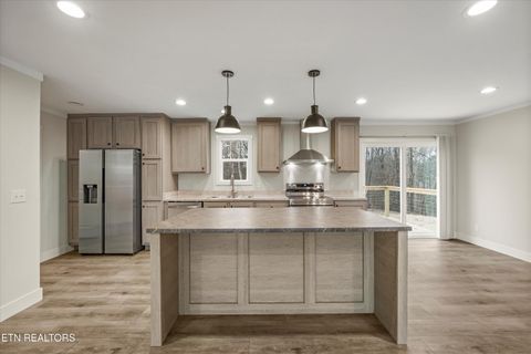 Tiny photo for 311 County Road 334, Niota, TN 37826 (MLS # 1324843)