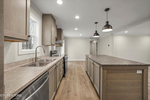 Tiny photo for 311 County Road 334, Niota, TN 37826 (MLS # 1324843)