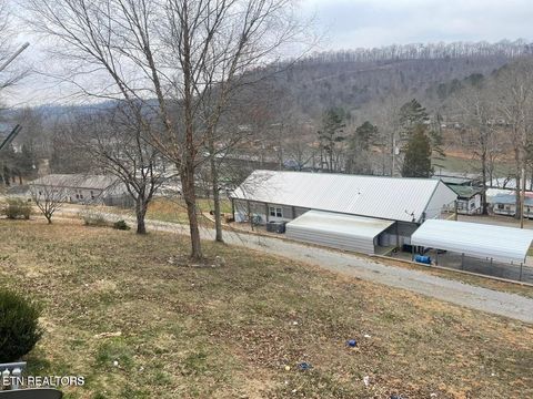 Tiny photo for 210 Last LZ Lane, Speedwell, TN 37870 (MLS # 1317297)