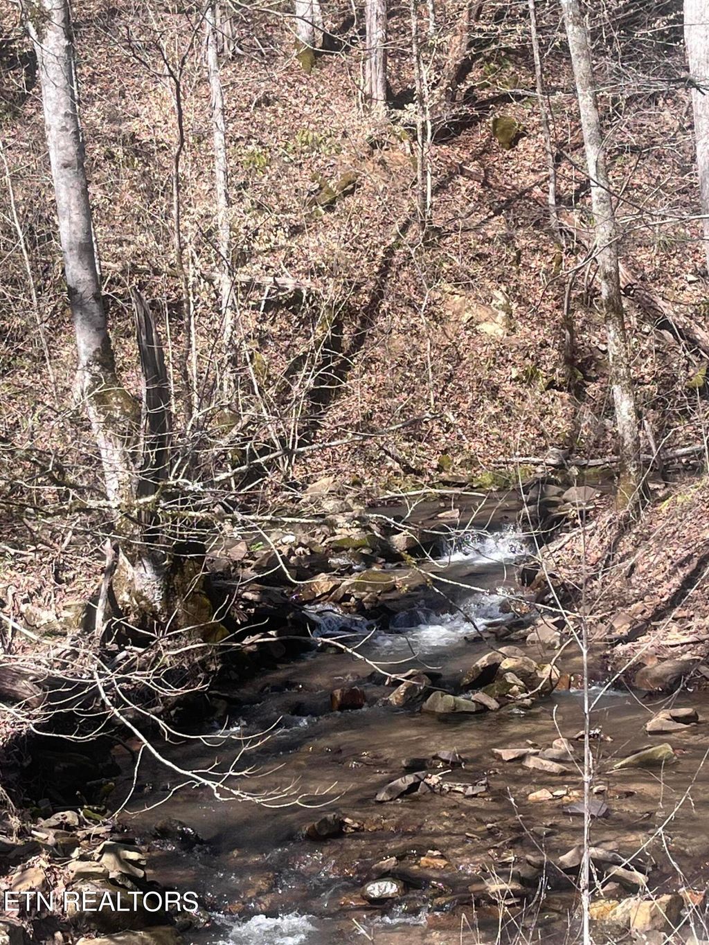 Photo of Skaggs Hollow Rd, Tazewell, TN 37879 (MLS # 1255575)