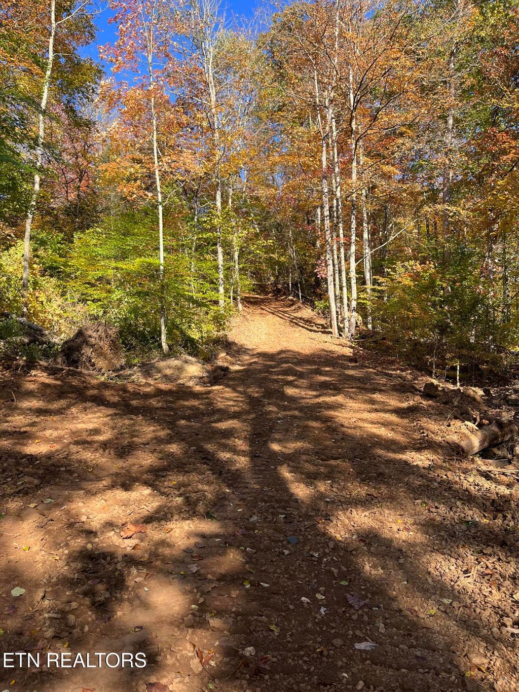 Photo of Skaggs Hollow Rd, Tazewell, TN 37879 (MLS # 1255575)