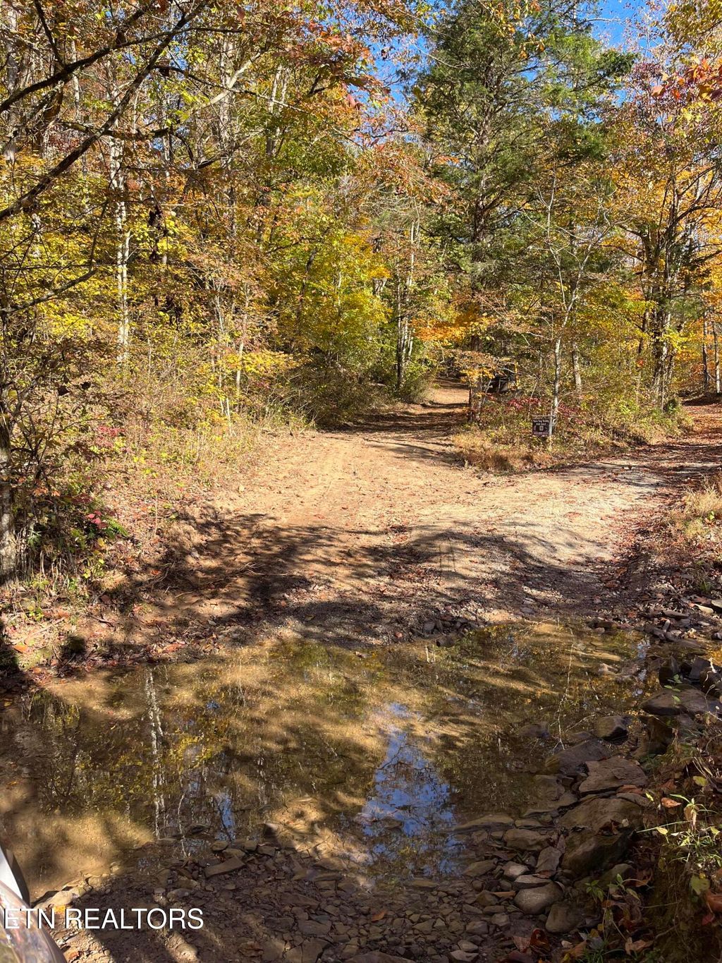 Photo of Skaggs Hollow Rd, Tazewell, TN 37879 (MLS # 1255575)