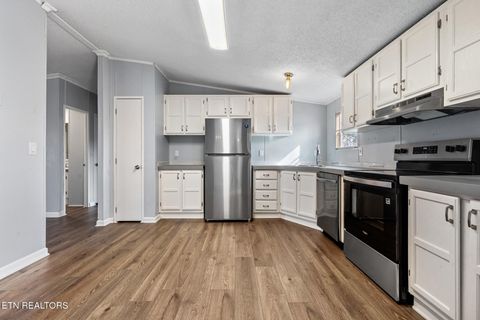 Tiny photo for 821 Clark St, Seymour, TN 37865 (MLS # 1322997)