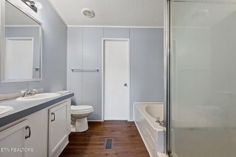 Tiny photo for 821 Clark St, Seymour, TN 37865 (MLS # 1322997)