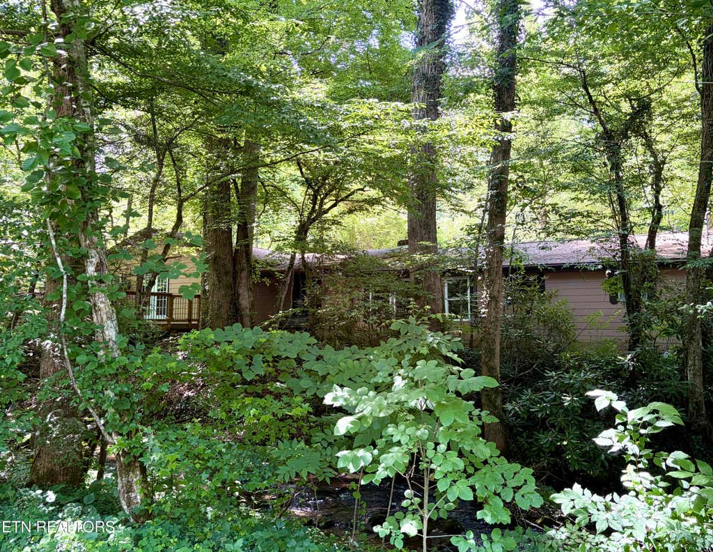 Photo of 4413 E Scenic Drive, Gatlinburg, TN 37738 (MLS # 1322170)