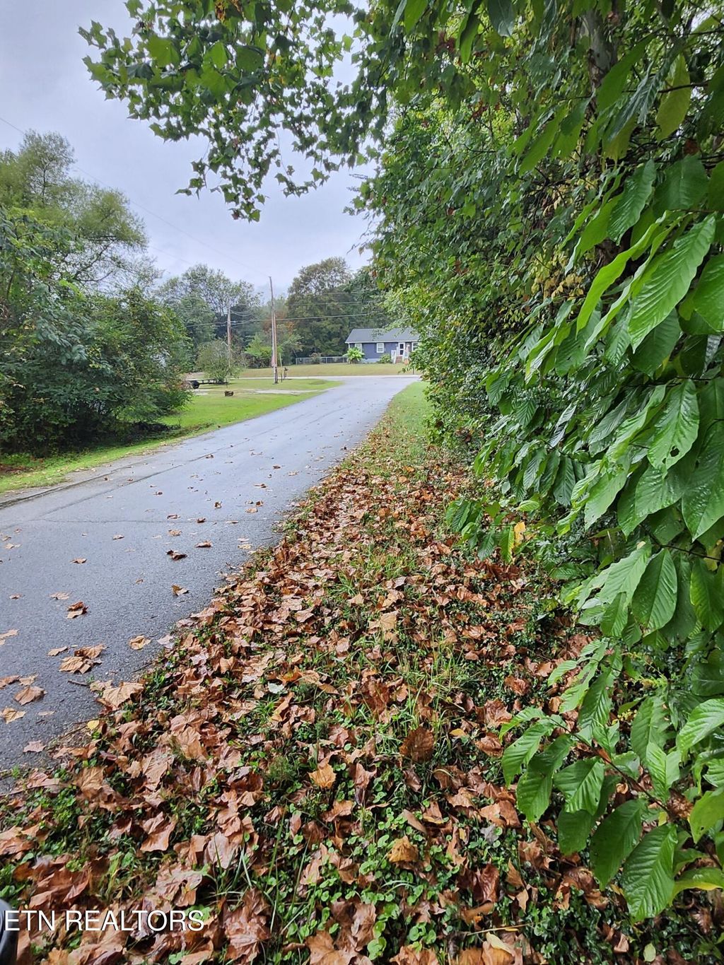 Photo of 0 Jodys Lane, Rockwood, TN 37854 (MLS # 1318191)