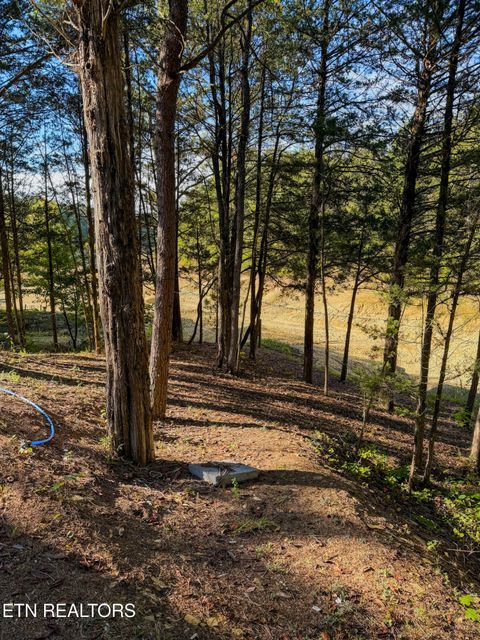 Tiny photo for 2859 Buck Horn Rd, Sevierville, TN 37876 (MLS # 1318273)