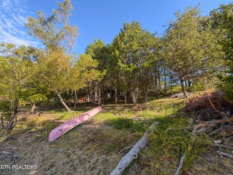 Tiny photo for 2859 Buck Horn Rd, Sevierville, TN 37876 (MLS # 1318273)