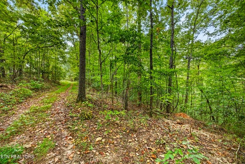Photo of 26 Timber Ridge Lane, Celina, TN 38551 (MLS # 1357270)