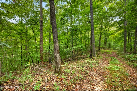 Tiny photo for 26 Timber Ridge Lane, Celina, TN 38551 (MLS # 1357270)