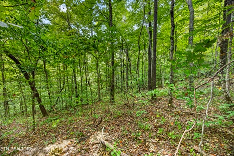 Tiny photo for 26 Timber Ridge Lane, Celina, TN 38551 (MLS # 1357270)