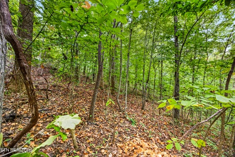 Tiny photo for 26 Timber Ridge Lane, Celina, TN 38551 (MLS # 1357270)