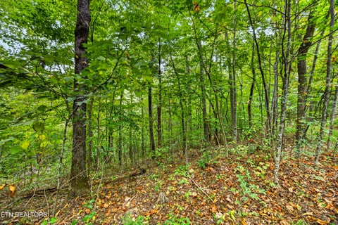 Tiny photo for 26 Timber Ridge Lane, Celina, TN 38551 (MLS # 1357270)