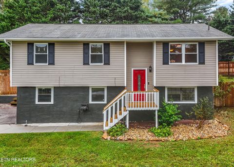 Photo of 715 Winston Drive, Seymour, TN 37865 (MLS # 1320262)