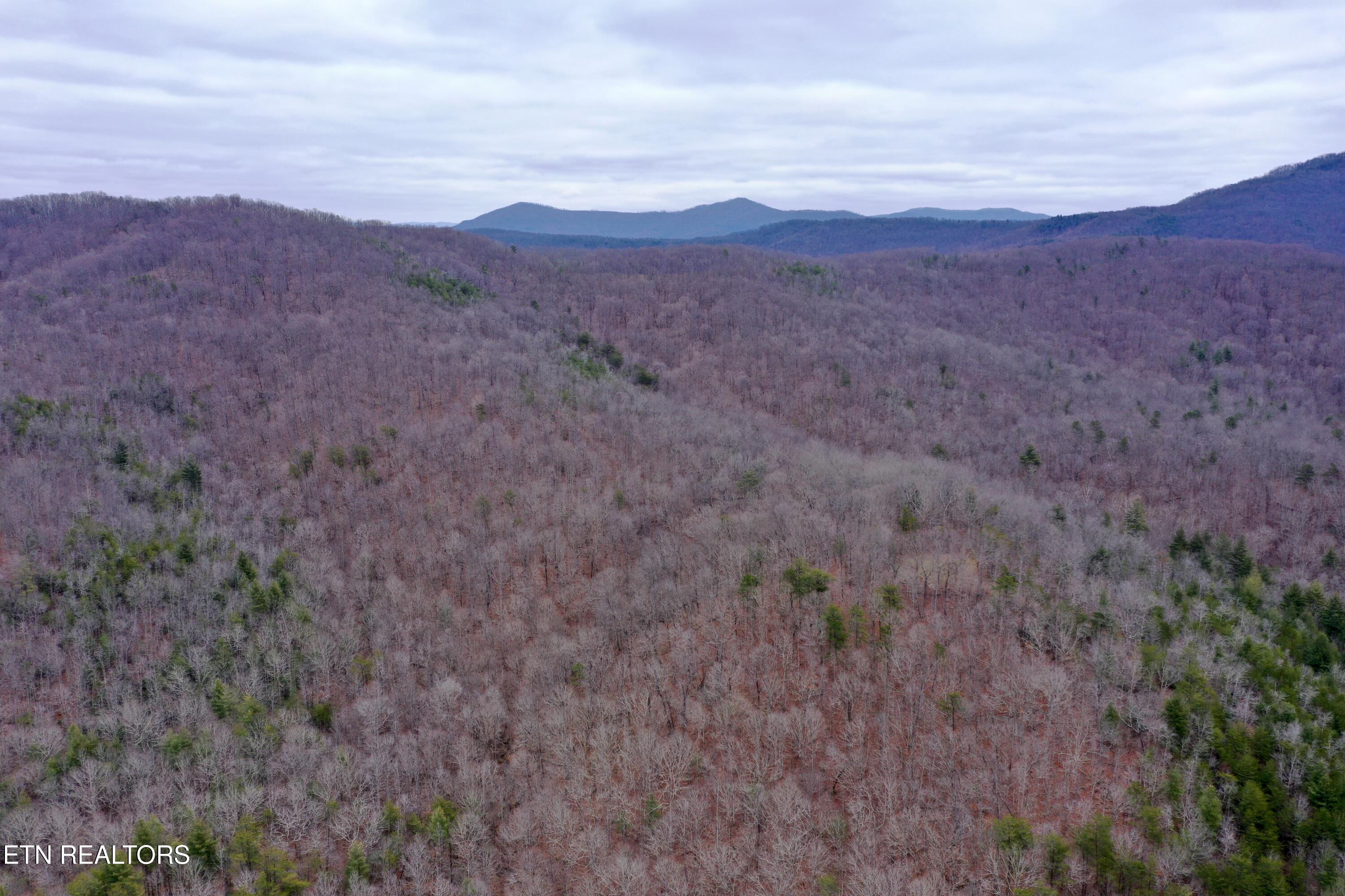 Wolf Creek Rd