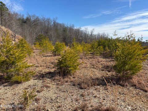 Tiny photo for W Mountain Drive, Rockwood, TN 37854 (MLS # 1329356)