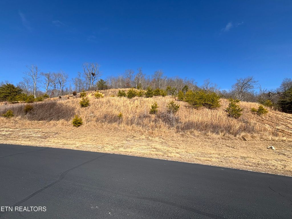 Photo of W Mountain Drive, Rockwood, TN 37854 (MLS # 1329356)