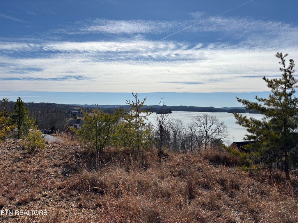 Photo of W Mountain Drive, Rockwood, TN 37854 (MLS # 1329356)